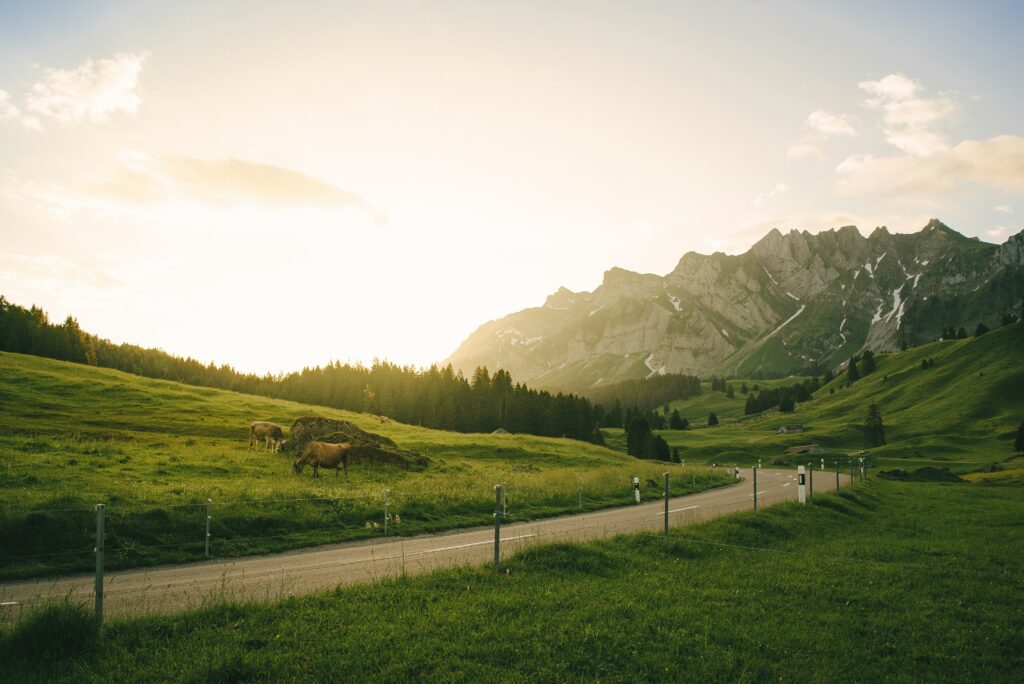 What Should You Consider When Choosing A New School In Switzerland