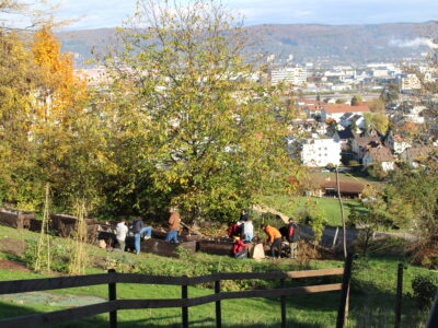 Lernwält