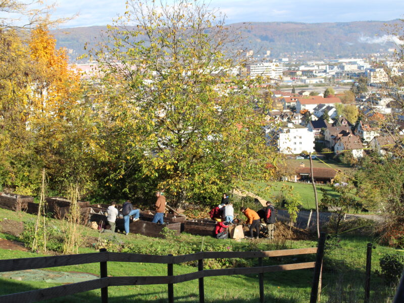 Lernwält