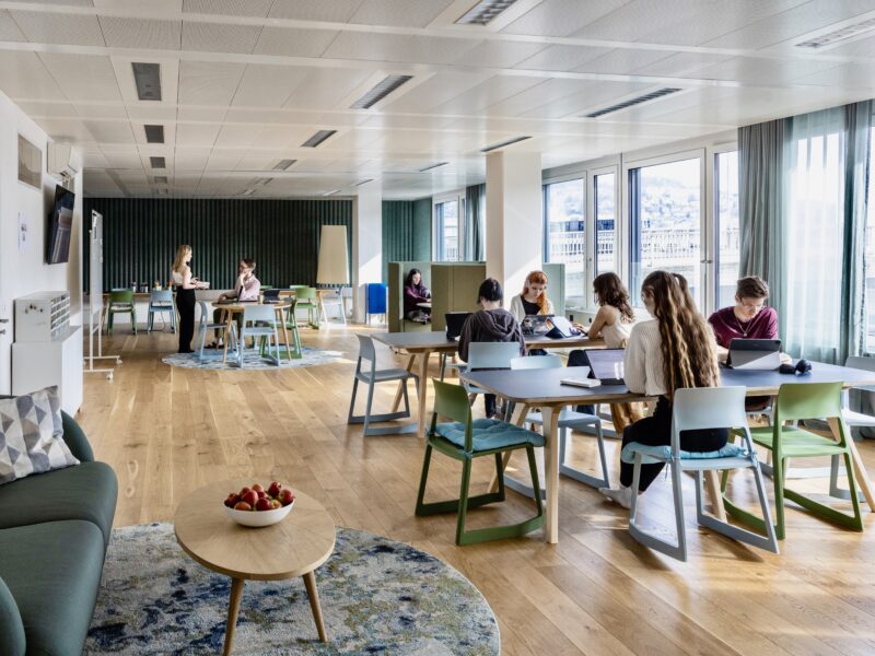 Neue Stadtschulen