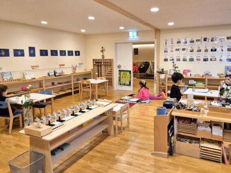 Maria Montessori International School