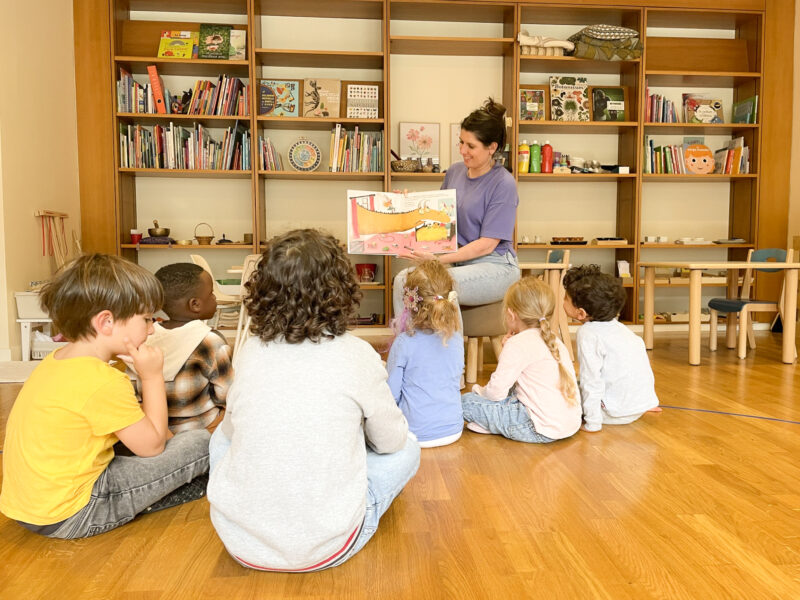 Maria Montessori International School