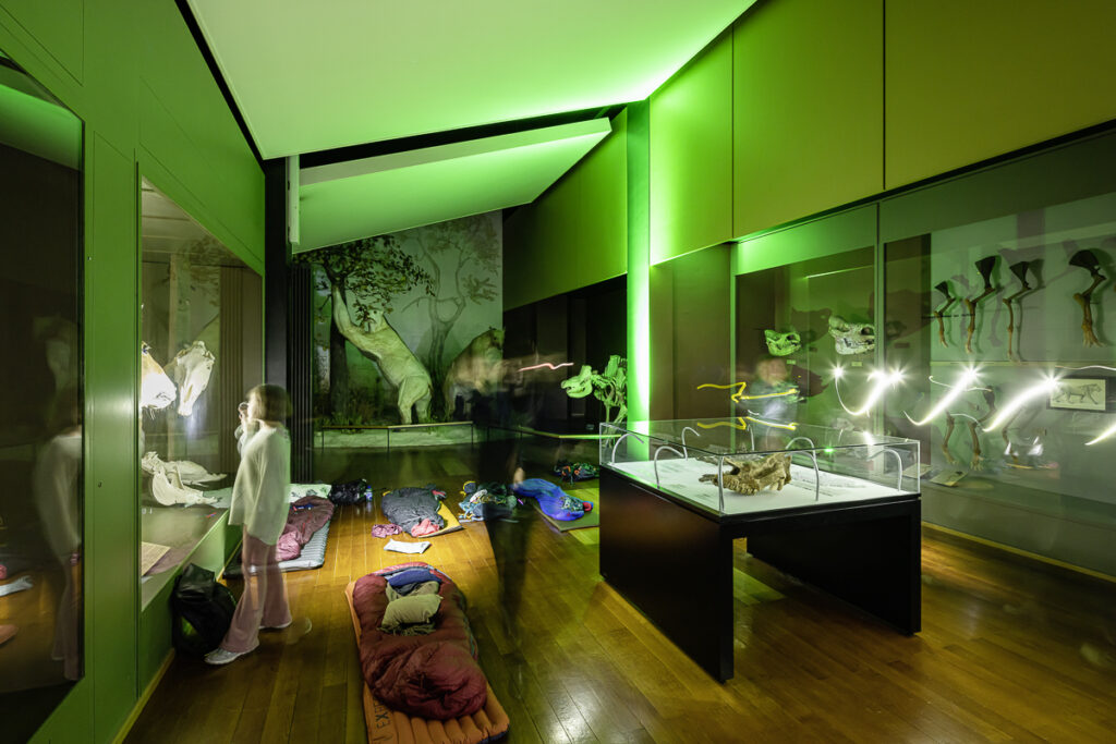 Natural History Museum Basel